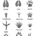 Animal Tracks Print Woodland Nursery Decor Rustic Outdoor Adventure Boy ...