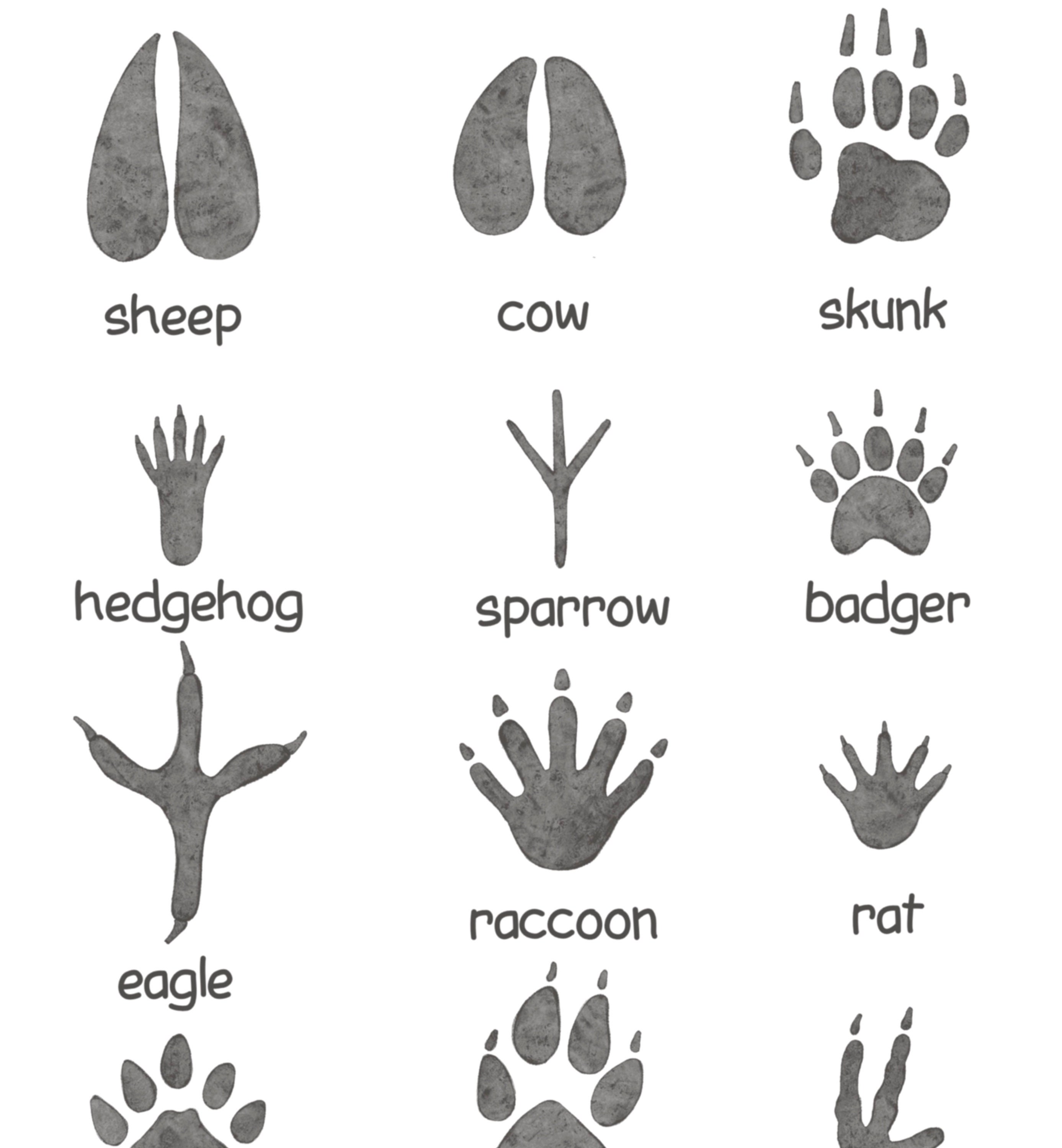 Animal Tracks Print Woodland Nursery Decor Rustic Outdoor Etsy