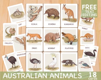 Toddler Flash Cards, Australian Animals - Flashcards, Preschool Montessori Materials