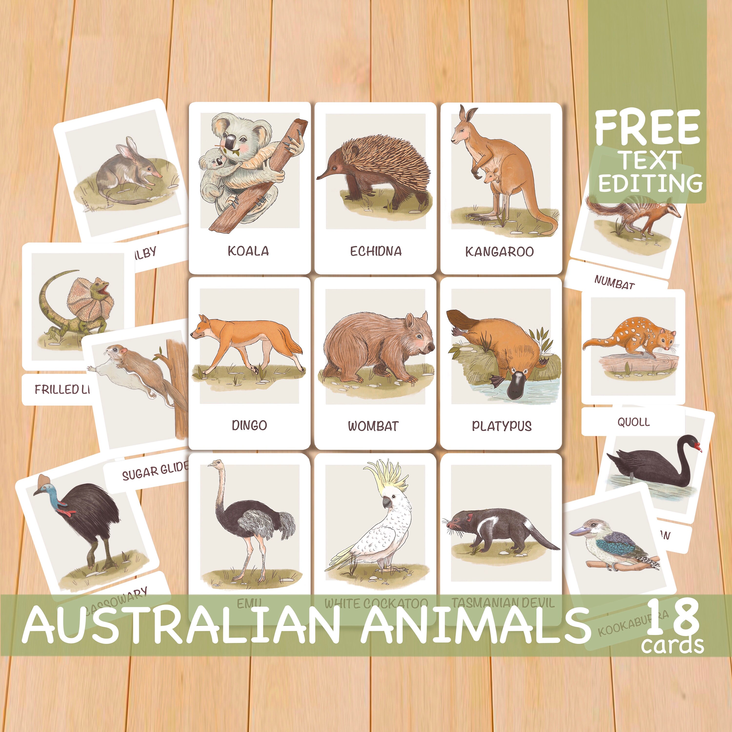 Toddler Flash Cards Australian Animals Flashcards Etsy Australia