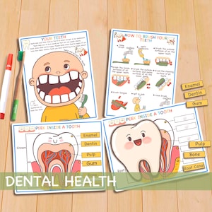 Preschool Toddler Activities Dental Health, Printable Homeschool Curriculum, Human Anatomy Activity