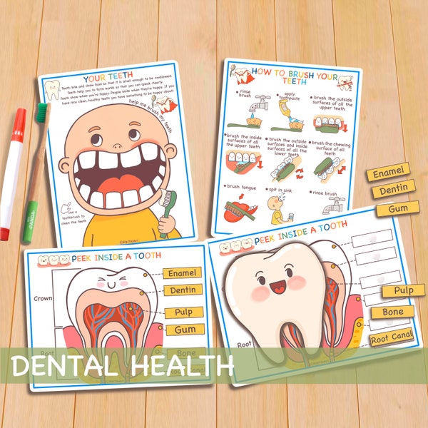 Preschool Toddler Activities Dental Health, Printable Homeschool Curriculum, Human Anatomy Activity