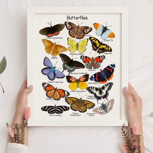 Puede incluir: Un gr&aacute;fico imprimible con ilustraciones de 14 tipos diferentes de mariposas con sus nombres comunes. Las mariposas est&aacute;n dispuestas en un c&iacute;rculo con sus nombres impresos debajo de cada mariposa.