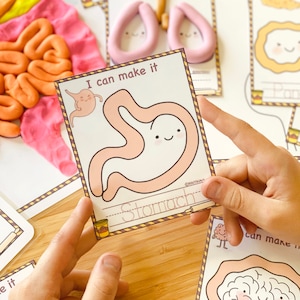 以下が含まれることがあります： 漫画の胃のイラストが描かれたカードで、「I can make it」と「Stomach」の文字が入っています。他のカードや粘土で作られた臓器の模型が背景にあります。