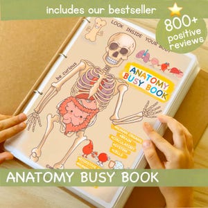 May include: A colorful anatomy busy book with a skeleton illustration and various organs. The book has a ring binder and the text "Anatomy Busy Book" is printed on the cover.