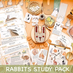 K&ouml;nnte beinhalten: Ein Satz von Lernspielzeug zum Thema Kaninchen. Das Set enth&auml;lt Arbeitsbl&auml;tter, Karteikarten und andere Materialien. Die Materialien zeigen Illustrationen von Kaninchen und Hasen und enthalten Informationen &uuml;ber ihre Anatomie, Ern&auml;hrung und ihren Lebensraum. Das Set enth&auml;lt auch einen Satz Holzbuchstaben, die das Wort "Kaninchen" buchstabieren.