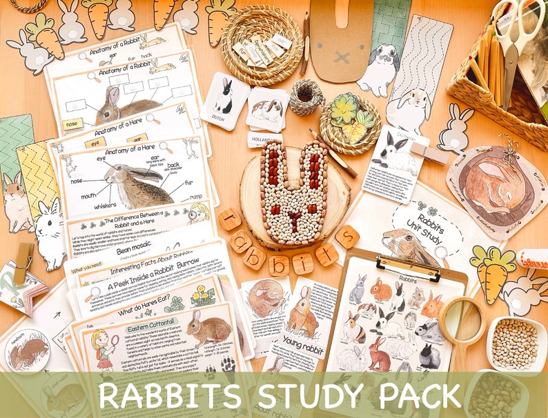 K&ouml;nnte beinhalten: Ein Satz von Lernspielzeug zum Thema Kaninchen. Das Set enth&auml;lt Arbeitsbl&auml;tter, Karteikarten und andere Materialien. Die Materialien zeigen Illustrationen von Kaninchen und Hasen und enthalten Informationen &uuml;ber ihre Anatomie, Ern&auml;hrung und ihren Lebensraum. Das Set enth&auml;lt auch einen Satz Holzbuchstaben, die das Wort "Kaninchen" buchstabieren.