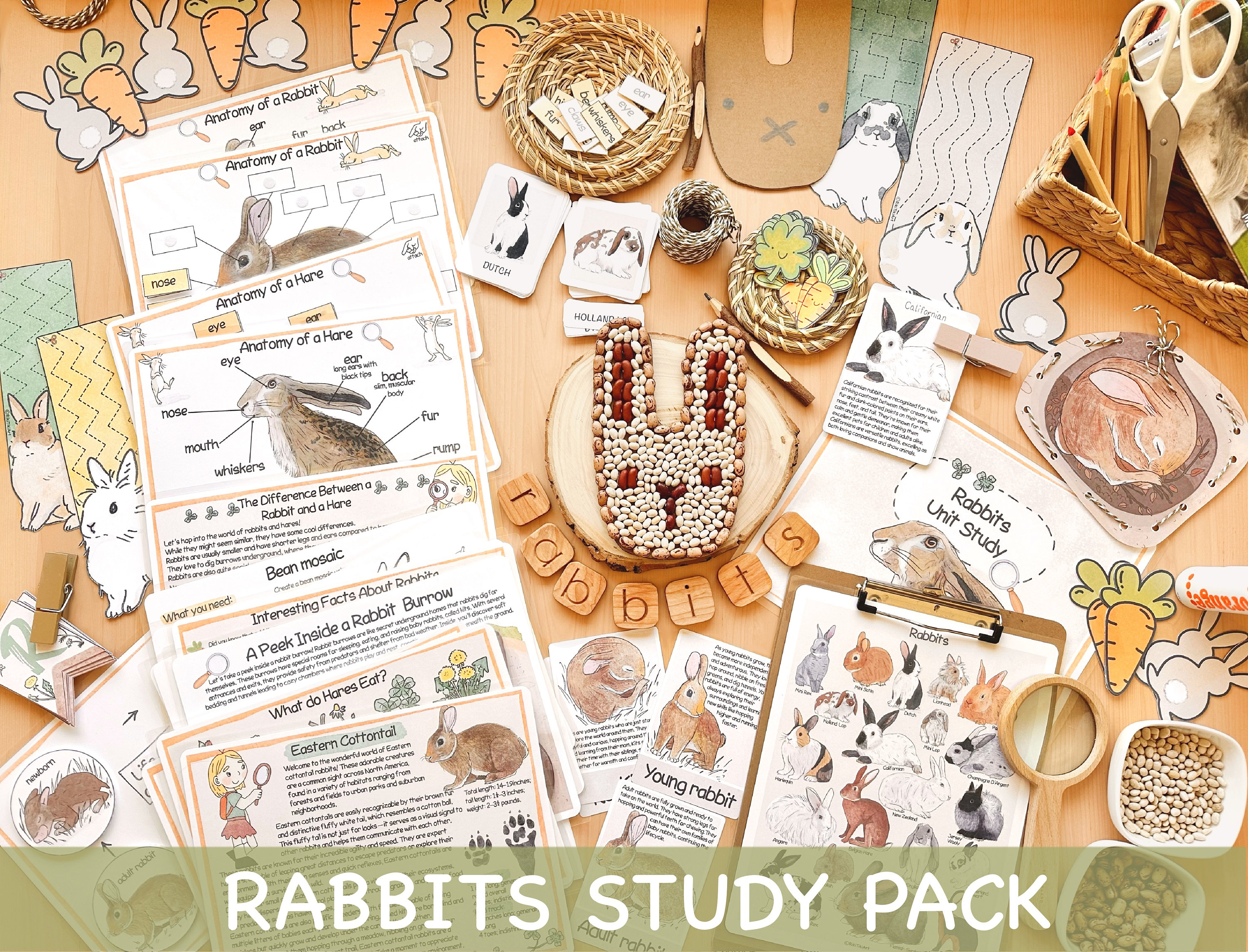Rabbit Unit Study Homeschool Printables Easter Bunny Spring