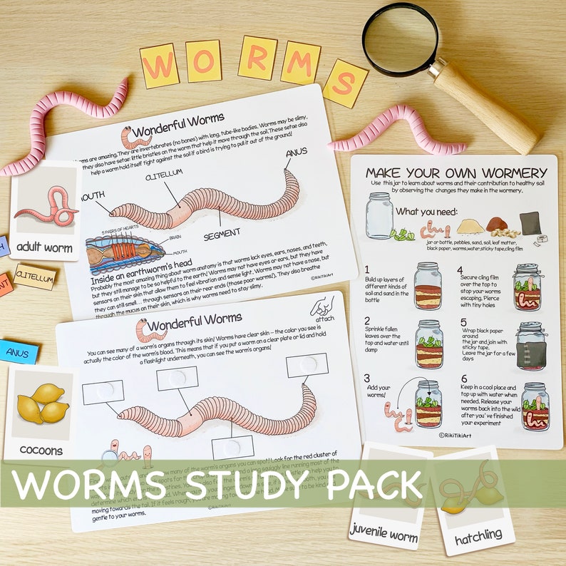 May include: A colorful educational resource for learning about worms. The resource includes illustrations of worms, their anatomy, and instructions for creating a wormery. The text includes the words "Worms Study Pack", "Wonderful Worms", "Make Your Own Wormy", and "Inside an Earthworm's Head".