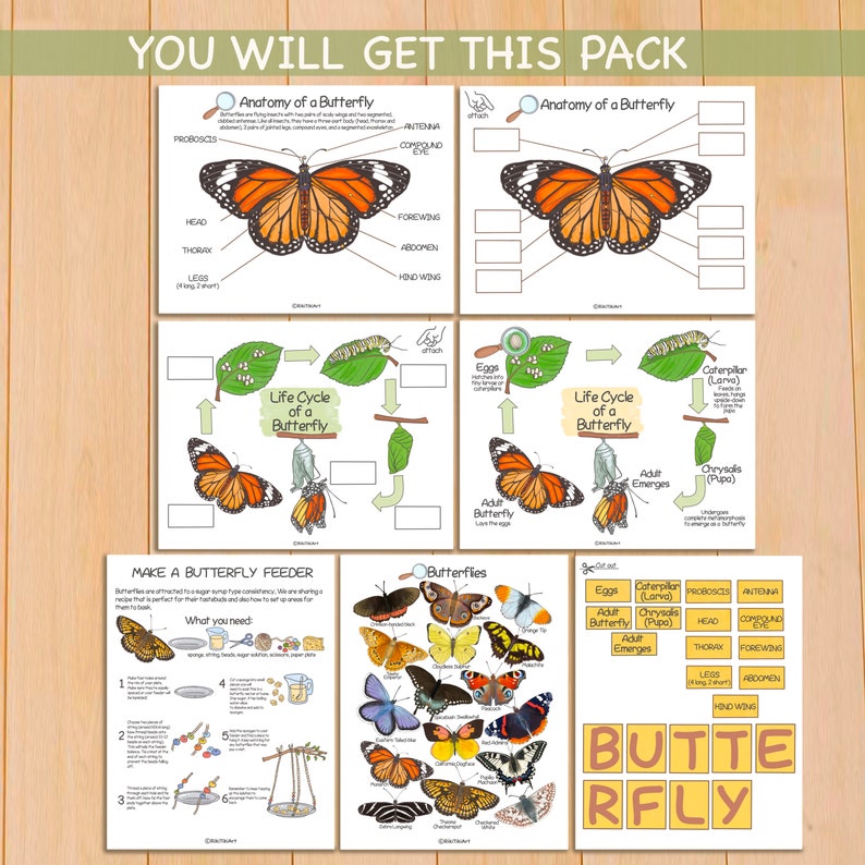 Butterfly Unit Study Bundle Charlotte Mason Nature Study Homeschool Learning Materials Educational Prints Butterfly Preschool Busy Binder image 2