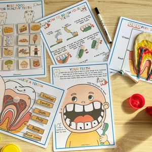 Voorschoolse peuteractiviteiten Tandheelkundige gezondheid, Afdrukbaar homeschoolcurriculum, Menselijke anatomieactiviteit afbeelding 8