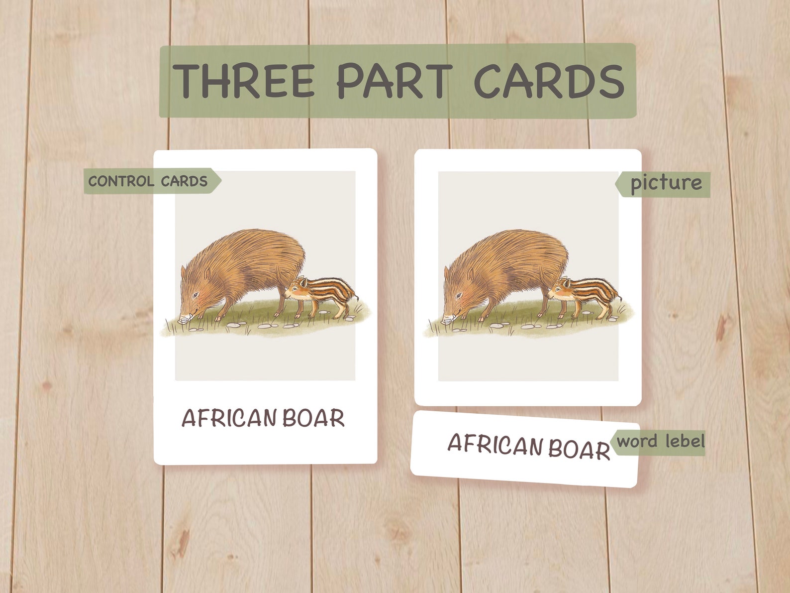 Safari Animals Flashcards, Printable Montessori Materials, Homeschool Toddler Learning Resources ...