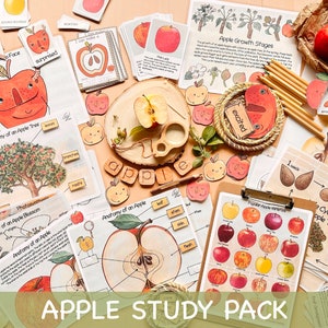 以下が含まれることがあります： カラフルなイラストとアクティビティが盛り込まれたリンゴの学習パック。パックには、リンゴの成長段階、リンゴの木の解剖学、リンゴの種類など、さまざまな学習教材が含まれています。パックには、マッチングゲームやパズルなど、さまざまな実践的なアクティビティも含まれています。