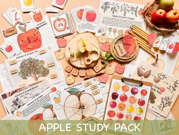 Apple Unit Study Homeschool Fall Printables Charlotte Mason Preschool Nature Study Bundle Anatomy of an Apple Life Cycle Apple Tree Activity