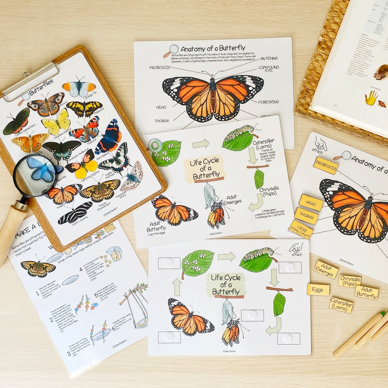Printable Nature Journal Homeschool Learning Materials Etsy
