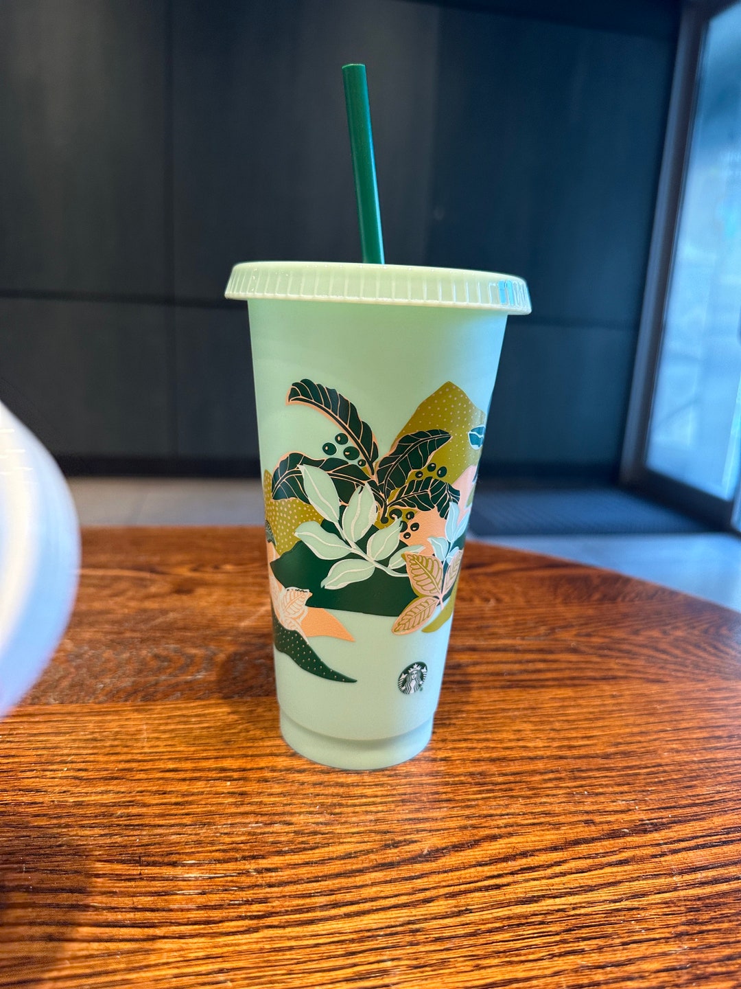 Starbucks Spring 2024 Reusable Earth Day Cups New Cold Cup Blank Drink
