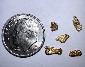 May include: A collection of gold nuggets of various shapes and sizes, displayed next to a U.S. dime coin for scale. The nuggets have a rough, textured surface and a bright, metallic gold color. The dime shows the profile of a man and the year 2004.