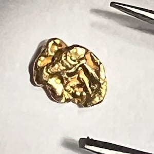 Genuine Raw Alaskan Gold Nugget - 0.05 grams in total weight