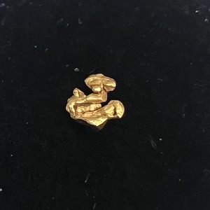Genuine Raw Alaskan Gold Nugget - 0.09 grams in total weight