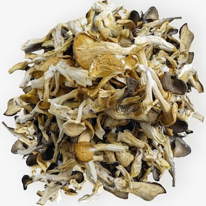 Dried Oyster Mushrooms