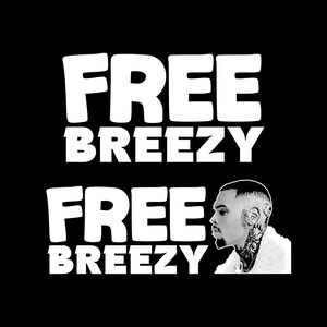 Free Breezy PNG, Chris Brown PNG, Breezy Bowl png, Breezy Bowl XX, Chris Brown tshirt, Gift for music fan, Chris Brown Heat Transfer