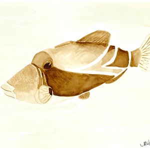 Humuhumunukunukuapu&#39;a&#39;a Kona Coffee Print | Reef Triggerfish | Hawaii | Fine Art | Wall Art | Ocean | HI | Aloha | 808