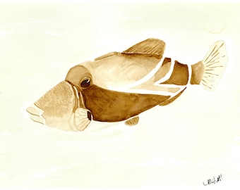 Reef Triggerfish Art Print | Kona Coffee Watercolor, Hawaii State Fish