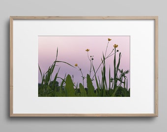 Fiori al crepuscolo nel Vermont Photo Print