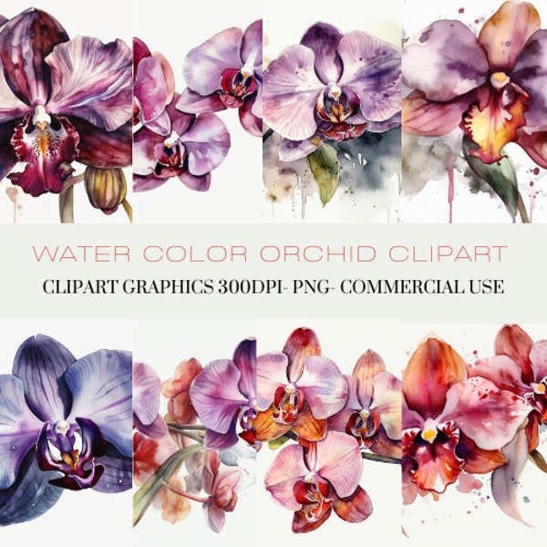 Water Color Orchid Clipart PNG Pack