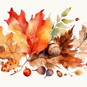 Op de afbeelding: Waterverf schilderij van herfstbladeren in tinten rood, oranje, geel en bruin. De bladeren zijn in een cluster gerangschikt, met wat overlap. Er zijn ook wat eikels en andere kleine details in het schilderij.