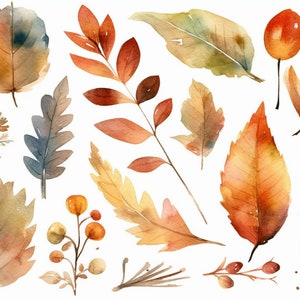 Op de afbeelding: Waterverfillustratie van herfstbladeren en bessen in tinten oranje, geel, bruin en groen. De bladeren zijn van verschillende vormen en maten, en de bessen zijn rond en rood.