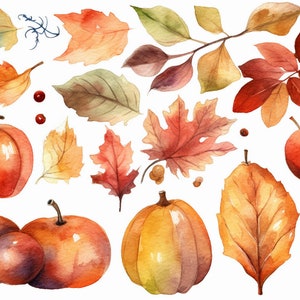 Op de afbeelding: Waterverfillustratie van herfstbladeren, pompoenen, appels en een peer. De bladeren zijn in tinten rood, oranje, geel en groen. De pompoenen zijn oranje en geel. De appels zijn rood en de peer is bruin.