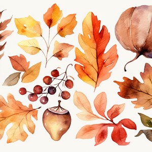 Op de afbeelding: Waterverfillustratie van herfstbladeren in verschillende tinten rood, oranje, geel en bruin. De illustratie bevat ook een bruine kalebas, een tros rode bessen en een klein bruin klavertje vier.