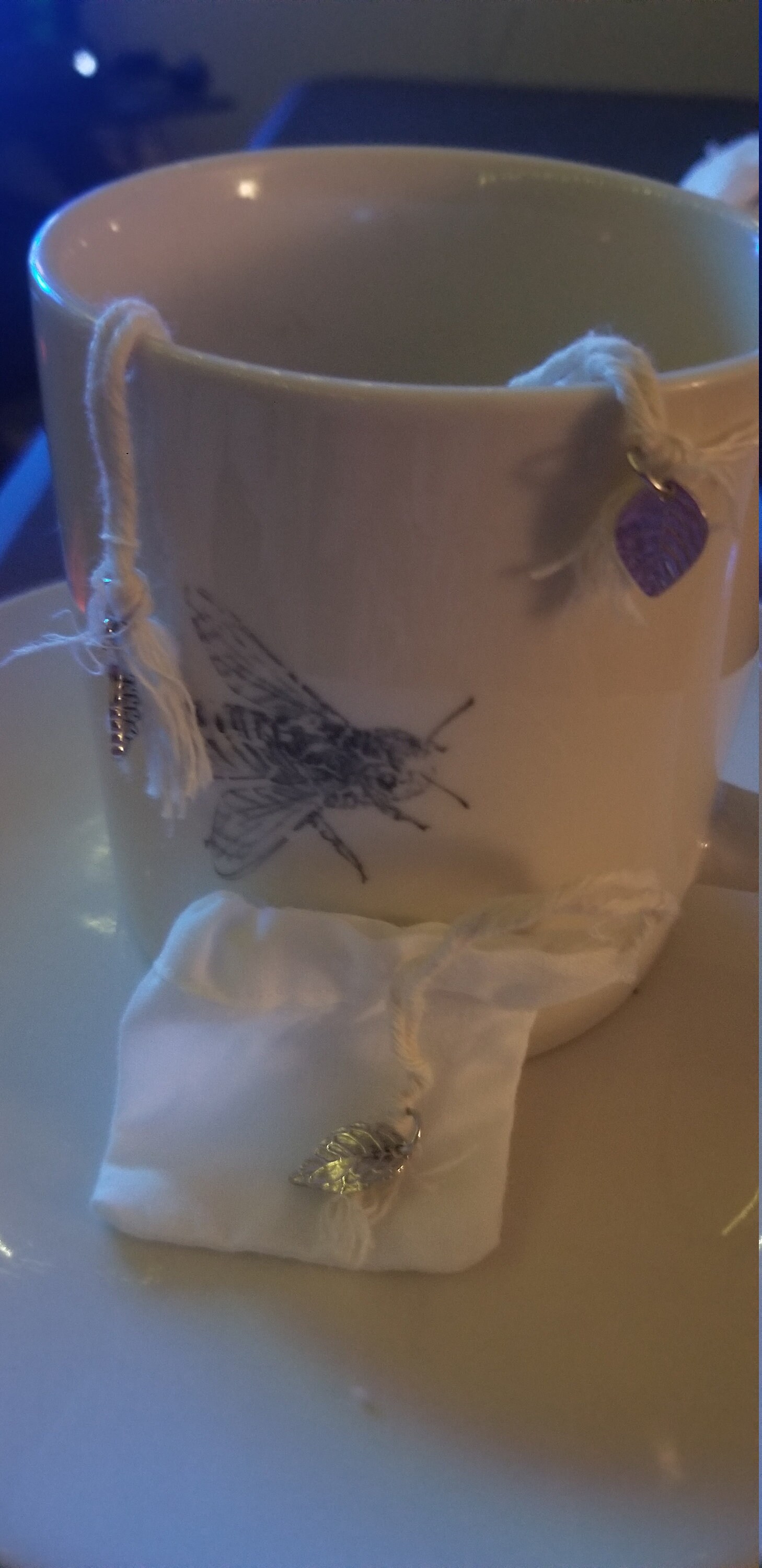 Reusable Tea Bags Etsy