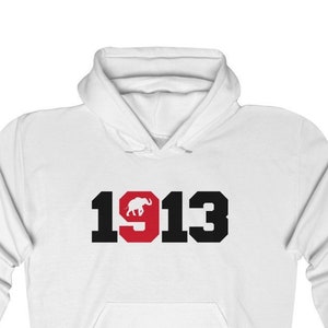 Delta - Freshman Shadow Hoodie (1913)