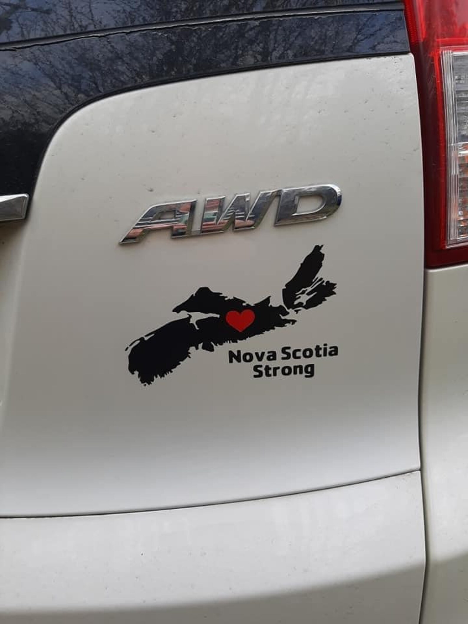Nova Scotia Strong Decal Etsy