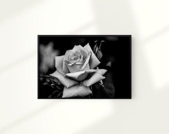 Impresión de rosa en blanco y negro, arte de la pared de la rosa, impresión de la flor, cartel de la flor, decoración del hogar en blanco y negro, descarga instantánea digital, arte imprimible