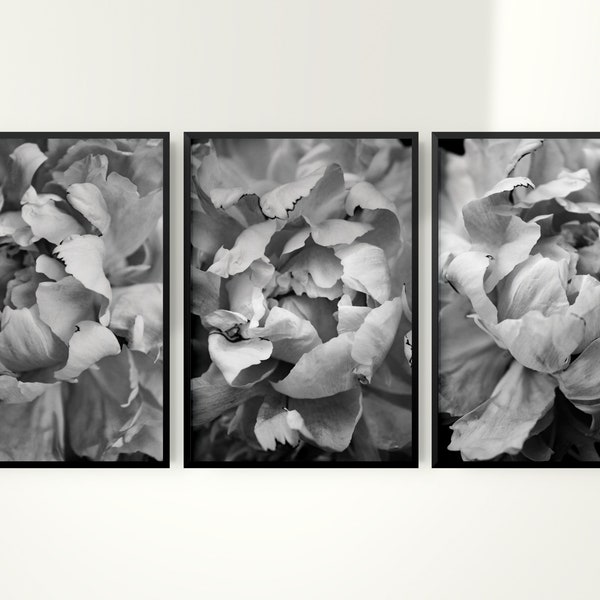 Peony Print, Set of 3 Prints, Peonies Wall Art, Floral Decor, Black and White Art, Digital Download, Printable Art