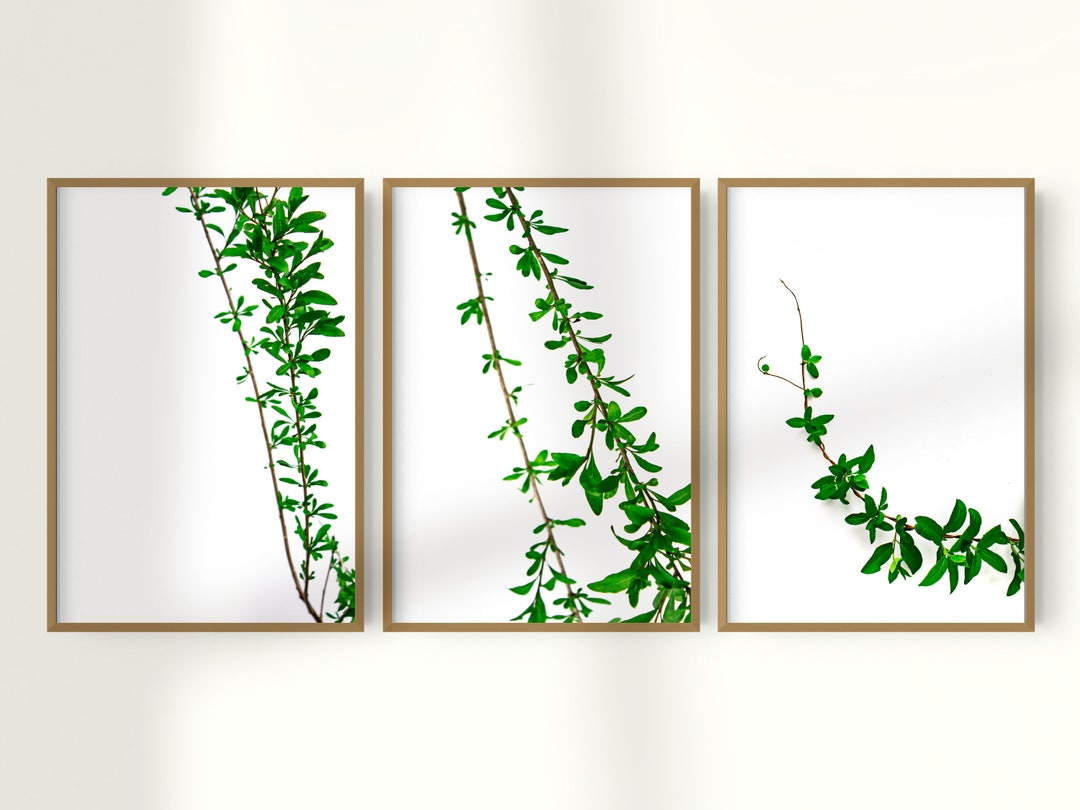 Botanical Print, Set Of, Prints Set, Leaves Decor, Green Wall Art ...