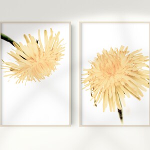 Dandelion Print, Set of 2, Print Set, Daisies Wall Art, Flower Poster, Flower Print, Home Decor, Digital Instant Download, Printable Art