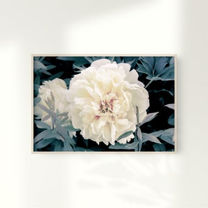 Peony Print, Botanical Print, Peonies Wall Art, Floral Decor, Digital Download, Printable Art