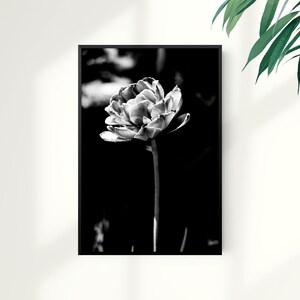 Black and White Tulip Print, Double Tulip Wall Art, Flower Print, Flower Poster, Home Decor, Digital Instant Download, Printable Art