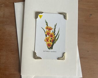 Juego de cartas Flores de jardín vintage, tarjeta de felicitación Mariposa Gladiolo