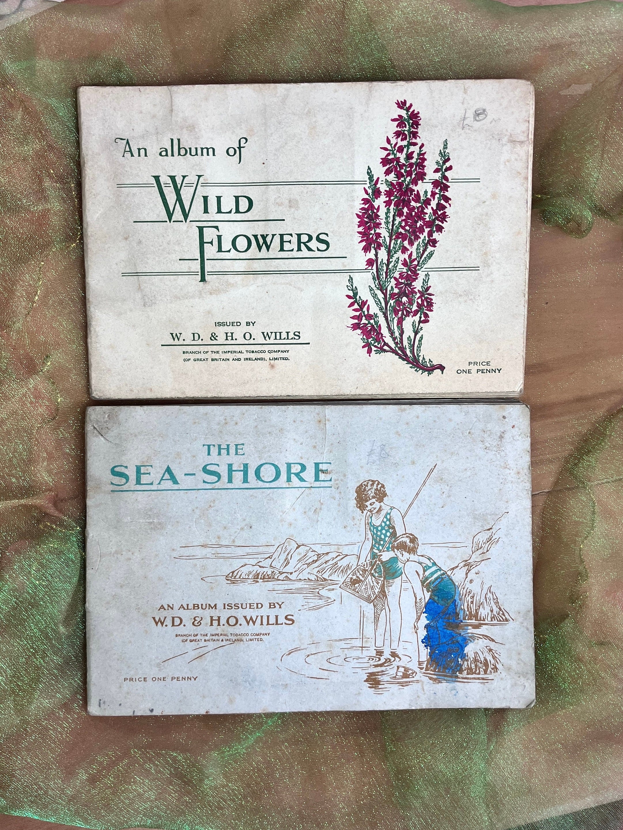 Wd & Ho Wills による完全なタバコカードブック、The Sea-shore、An