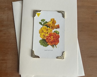 Vintage Garden Flowers card game greetings card Nasturtium