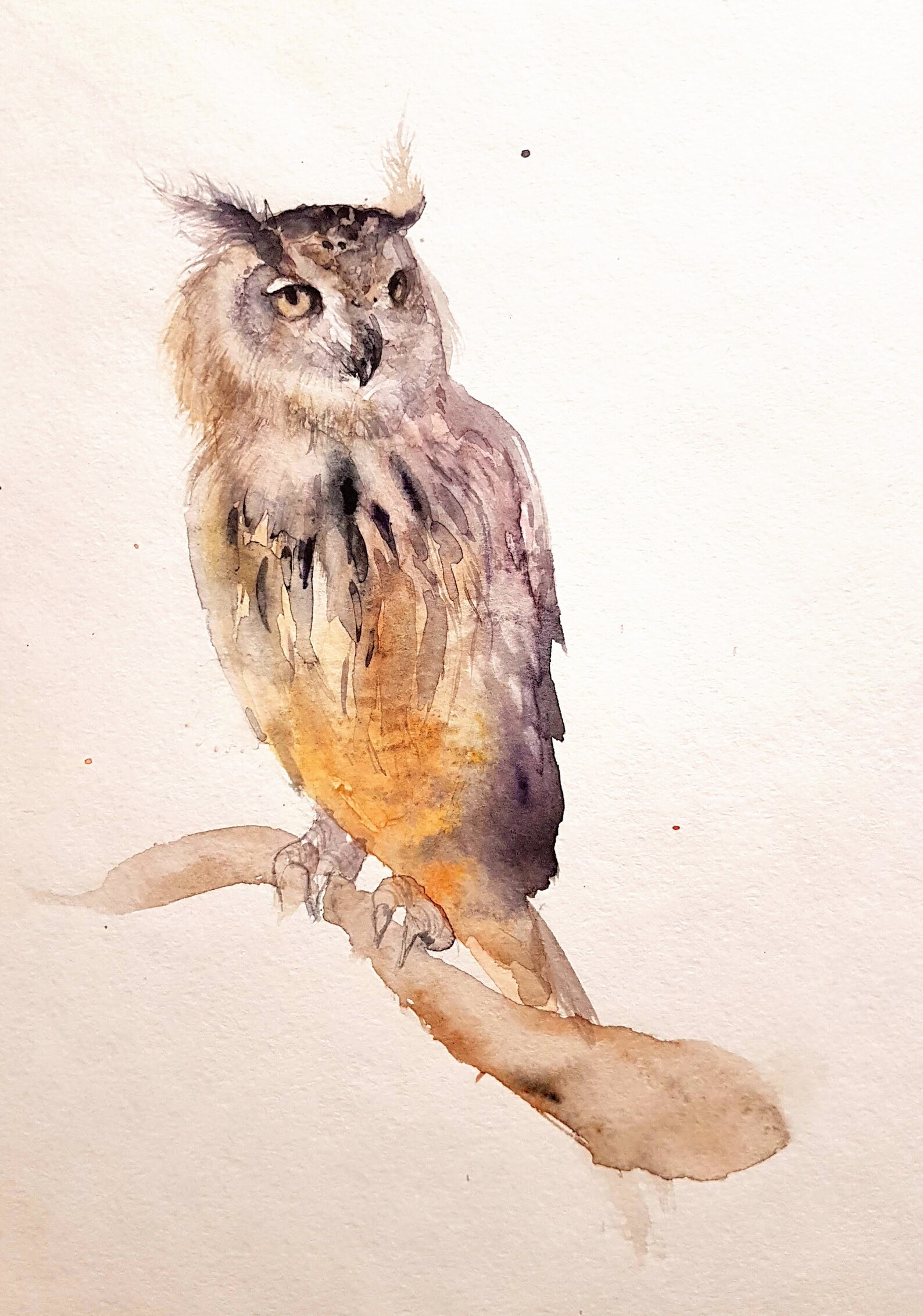 Eule Original Aquarell Malerei Wand Kunst Handgemacht | Etsy