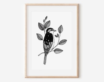 Bird art print • Galaxy bird wall art prints • Bird home wall art gallery • Nursery wall art gallery • Bird poster • Birds art print gift