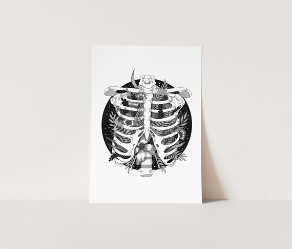 96+ Mind Blowing Aesthetic Skeleton Art Draft