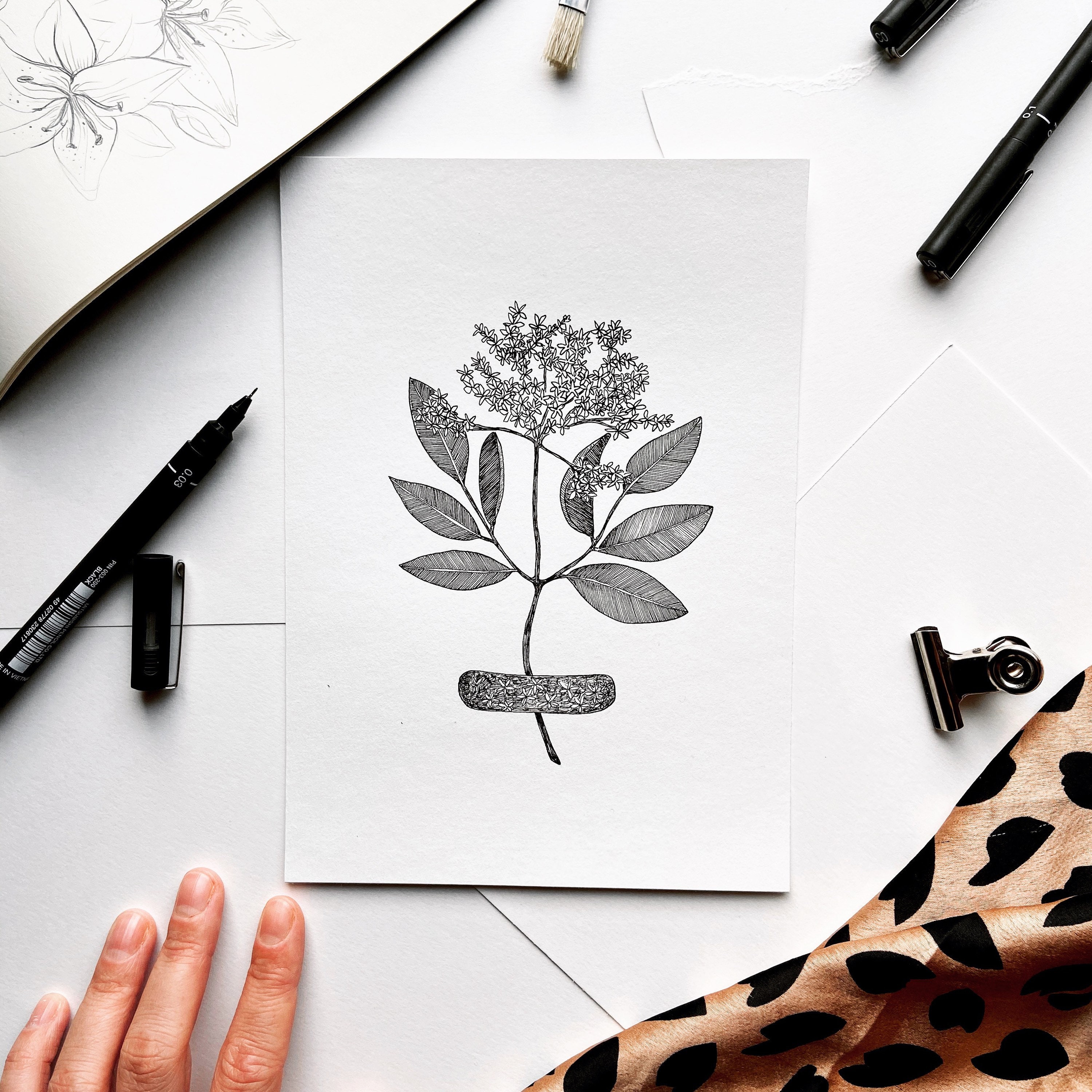 Herbarium Dessin Original, Illustration Originale, Art Botanique Mural Floral