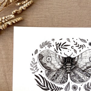 Moth original drawing, original illustration, moth original wall art image 6